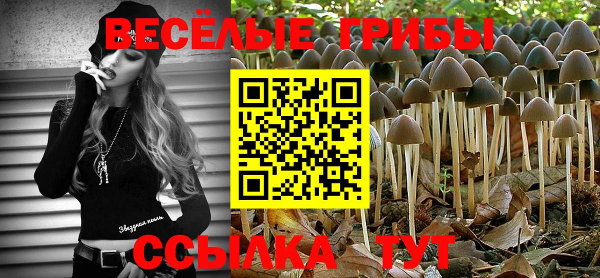 Псилоцибиновые грибы прущие грибы  Вход с VPN  Сарапул 