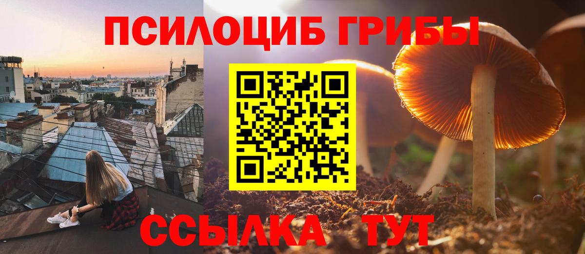 Псилоцибиновые грибы MAGIC MUSHROOMS Сарапул